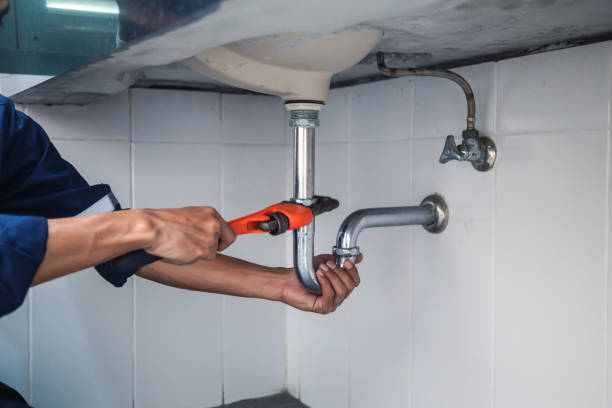 Best Toilet Repair Services  in Arcadia, FL