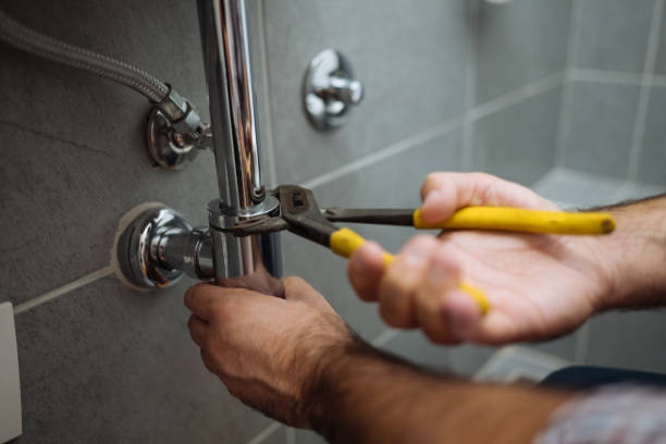 Best Residential Plumbing Services  in Arcadia, FL